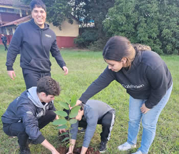 Alumnos y estudiantes universitarios plantando árboles